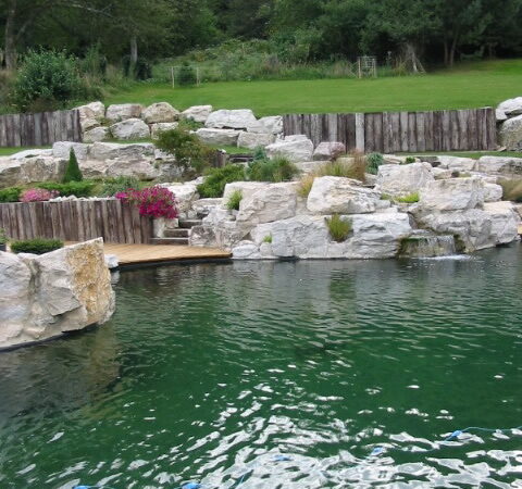 PISCINE NATURELLE 480X450 | Terrasses & Jardins À propos de Terrasses et Jardins Wittenheim 1